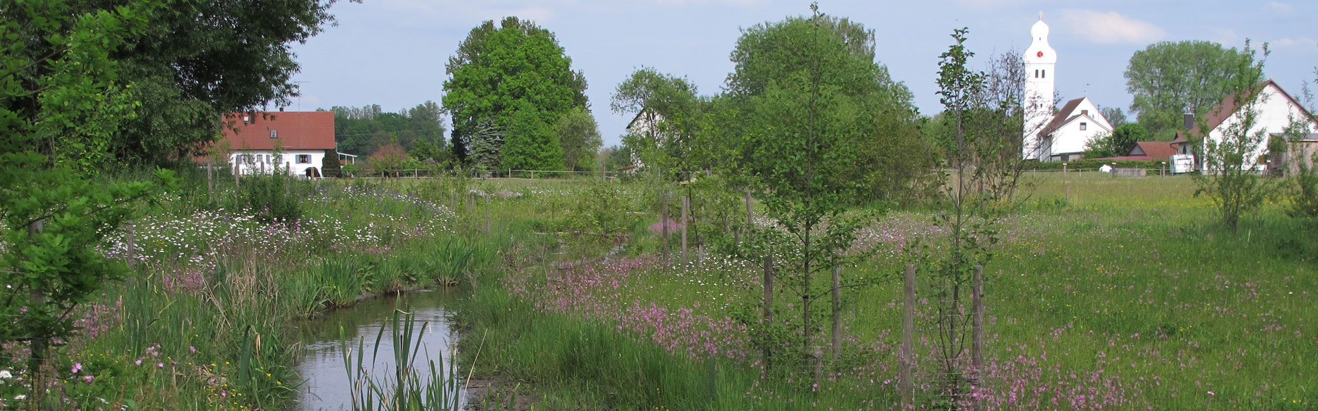 Header Markt Kühbach 012